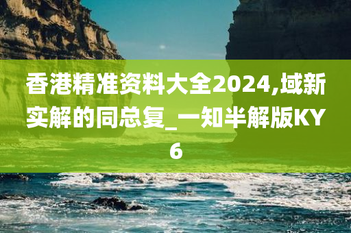 香港精准资料大全2024,域新实解的同总复_一知半解版KY6