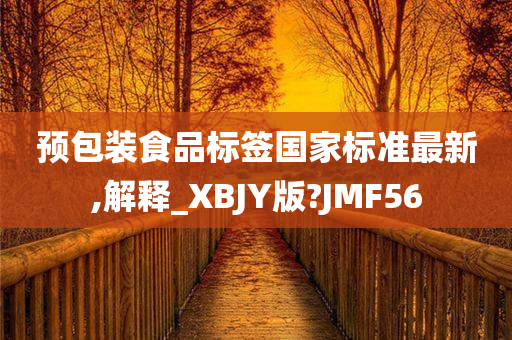 预包装食品标签国家标准最新,解释_XBJY版?JMF56