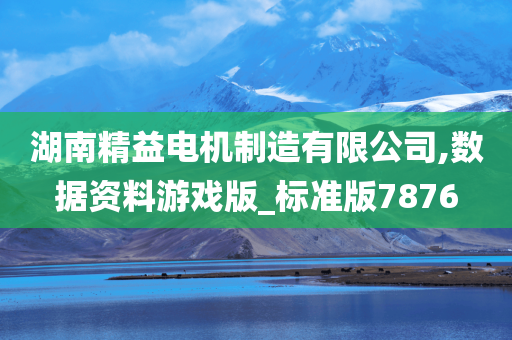 湖南精益电机制造有限公司,数据资料游戏版_标准版7876