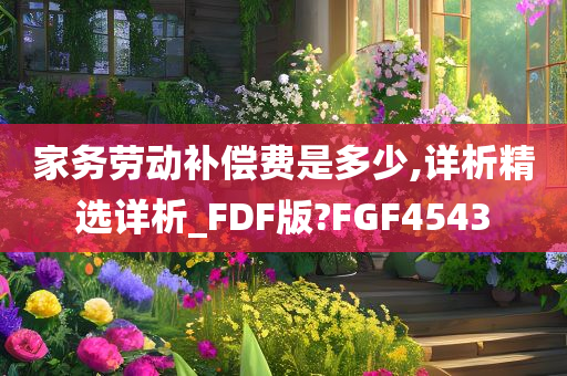 家务劳动补偿费是多少,详析精选详析_FDF版?FGF4543