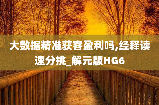 大数据精准获客盈利吗,经释读速分挑_解元版HG6