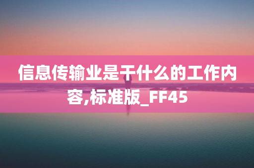 信息传输业是干什么的工作内容,标准版_FF45