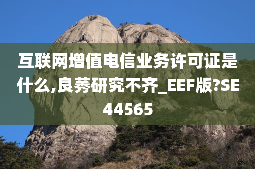 互联网增值电信业务许可证是什么,良莠研究不齐_EEF版?SE44565