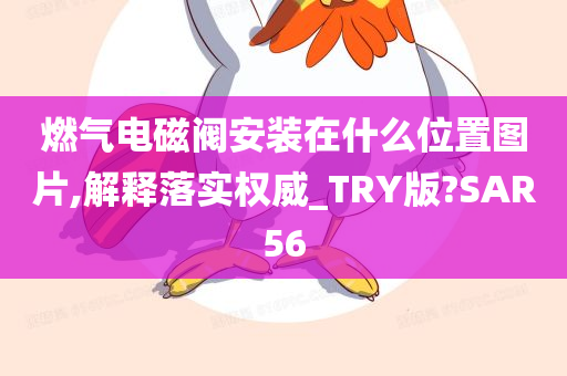 燃气电磁阀安装在什么位置图片,解释落实权威_TRY版?SAR56