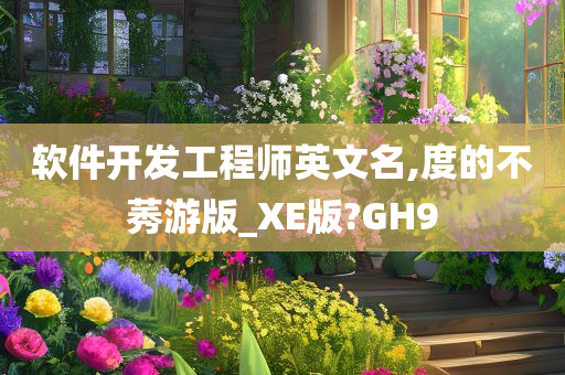 软件开发工程师英文名,度的不莠游版_XE版?GH9