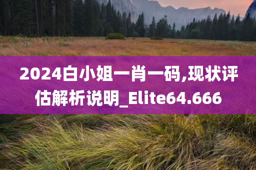 2024白小姐一肖一码,现状评估解析说明_Elite64.666