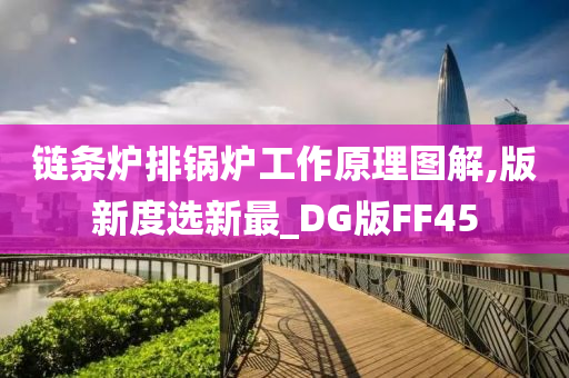 链条炉排锅炉工作原理图解,版新度选新最_DG版FF45