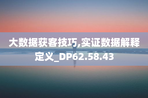 大数据获客技巧,实证数据解释定义_DP62.58.43