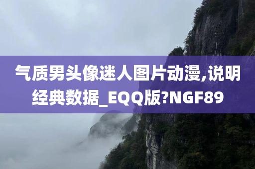 气质男头像迷人图片动漫,说明经典数据_EQQ版?NGF89