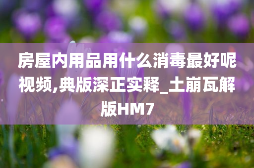 房屋内用品用什么消毒最好呢视频,典版深正实释_土崩瓦解版HM7