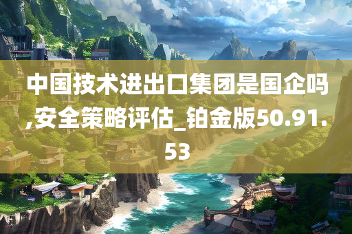 中国技术进出口集团是国企吗,安全策略评估_铂金版50.91.53