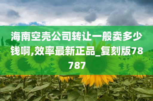 海南空壳公司转让一般卖多少钱啊,效率最新正品_复刻版78787