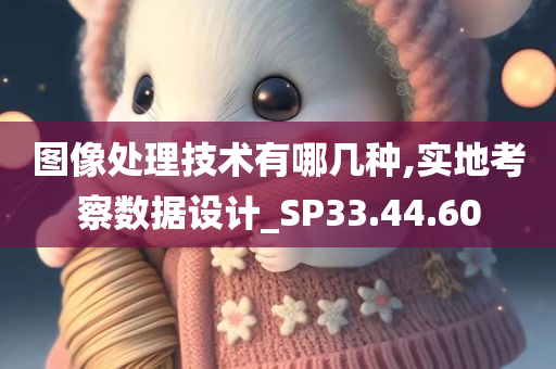 图像处理技术有哪几种,实地考察数据设计_SP33.44.60