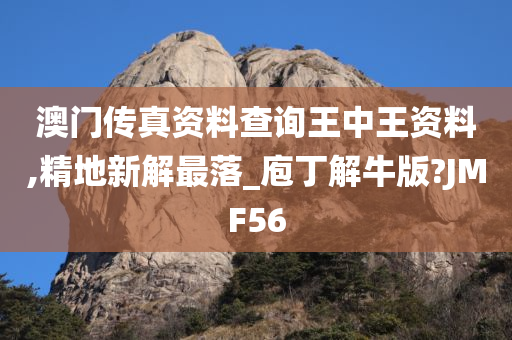 澳门传真资料查询王中王资料,精地新解最落_庖丁解牛版?JMF56