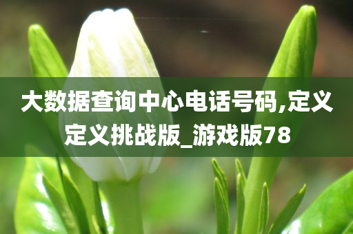 大数据查询中心电话号码,定义定义挑战版_游戏版78