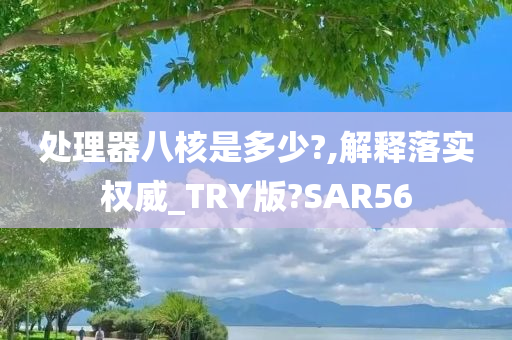 处理器八核是多少?,解释落实权威_TRY版?SAR56