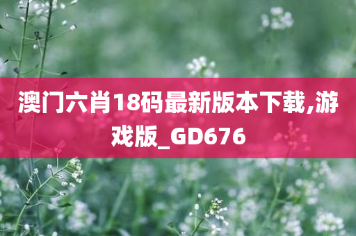 澳门六肖18码最新版本下载,游戏版_GD676