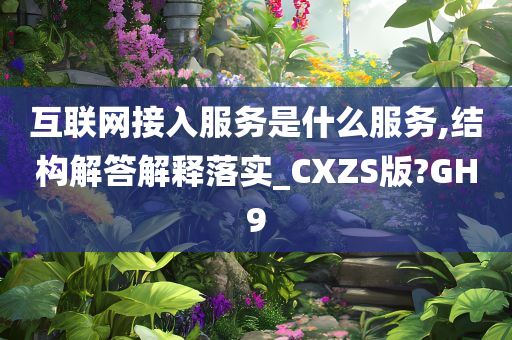 互联网接入服务是什么服务,结构解答解释落实_CXZS版?GH9