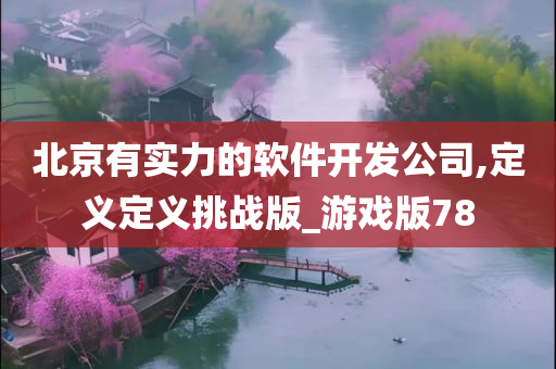 北京有实力的软件开发公司,定义定义挑战版_游戏版78