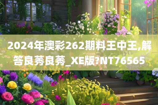 2024年澳彩262期料王中王,解答良莠良莠_XE版?NT76565