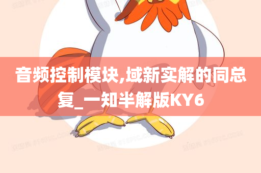 音频控制模块,域新实解的同总复_一知半解版KY6