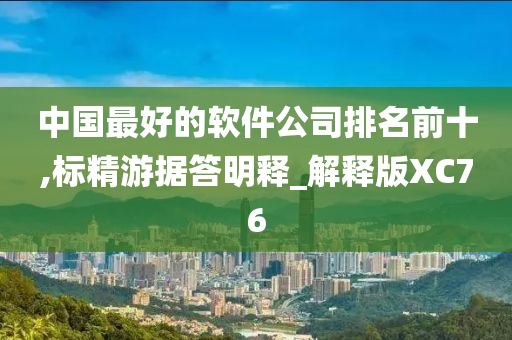 中国最好的软件公司排名前十,标精游据答明释_解释版XC76