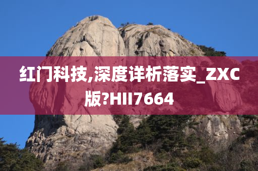 红门科技,深度详析落实_ZXC版?HII7664