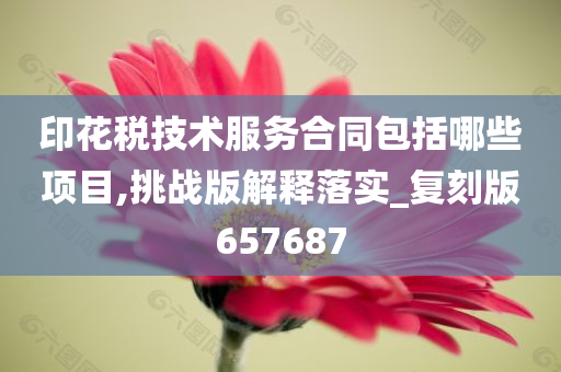 印花税技术服务合同包括哪些项目,挑战版解释落实_复刻版657687