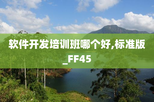 软件开发培训班哪个好,标准版_FF45