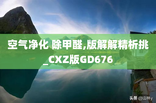 空气净化 除甲醛,版解解精析挑_CXZ版GD676