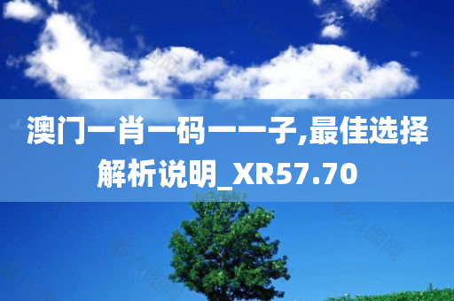 澳门一肖一码一一子,最佳选择解析说明_XR57.70