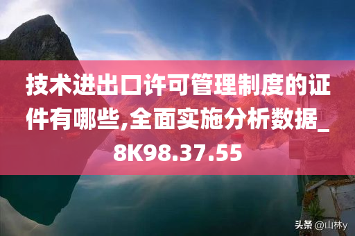 技术进出口许可管理制度的证件有哪些,全面实施分析数据_8K98.37.55