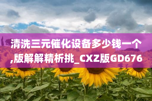 清洗三元催化设备多少钱一个,版解解精析挑_CXZ版GD676