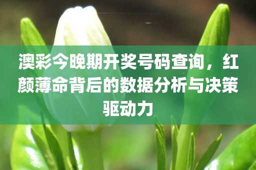 澳彩今晚期开奖号码查询，红颜薄命背后的数据分析与决策驱动力