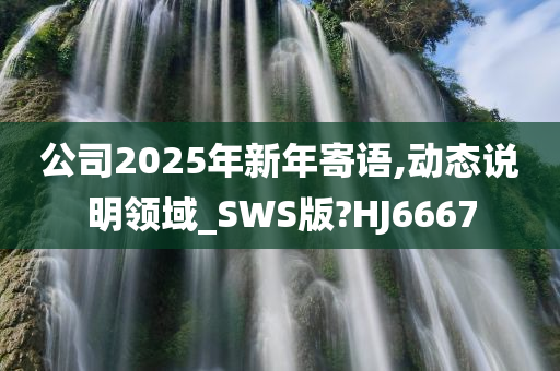 公司2025年新年寄语,动态说明领域_SWS版?HJ6667