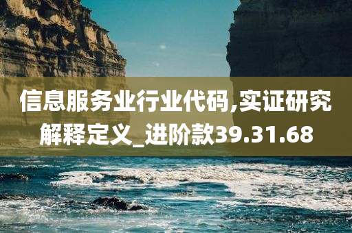 信息服务业行业代码,实证研究解释定义_进阶款39.31.68