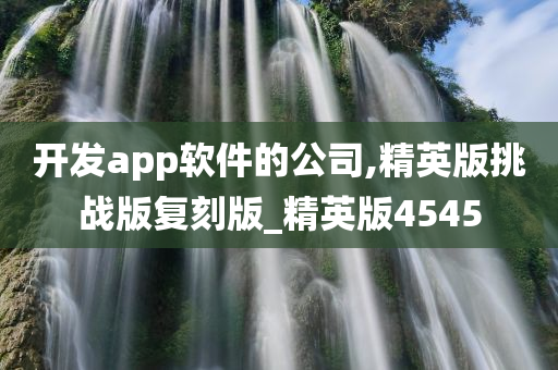 开发app软件的公司,精英版挑战版复刻版_精英版4545