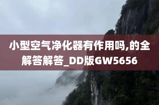 小型空气净化器有作用吗,的全解答解答_DD版GW5656