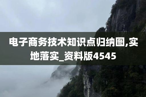 电子商务技术知识点归纳图,实地落实_资料版4545