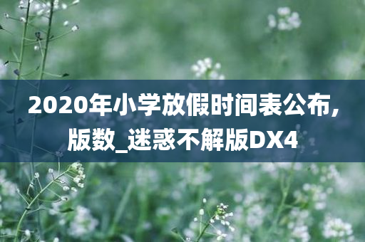 2020年小学放假时间表公布,版数_迷惑不解版DX4