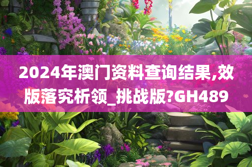 2024年澳门资料查询结果,效版落究析领_挑战版?GH489