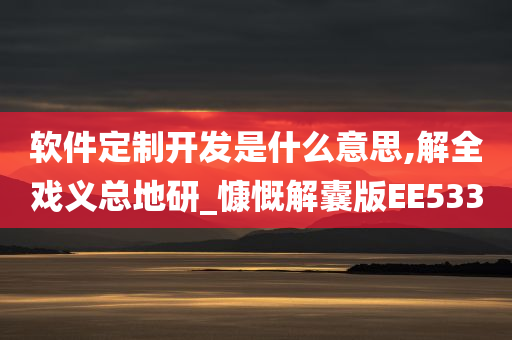 软件定制开发是什么意思,解全戏义总地研_慷慨解囊版EE533