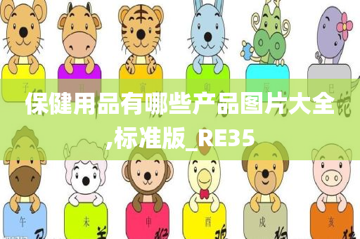 保健用品有哪些产品图片大全,标准版_RE35