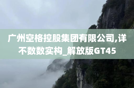 广州空格控股集团有限公司,详不数数实构_解放版GT45