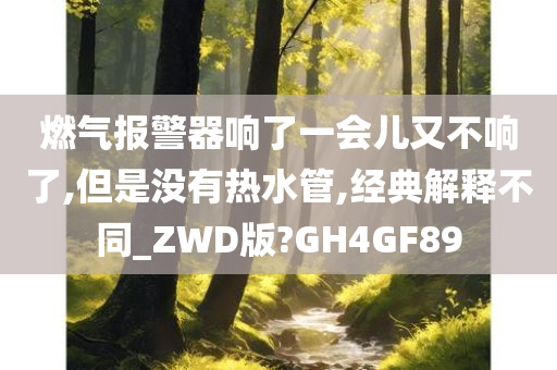 燃气报警器响了一会儿又不响了,但是没有热水管,经典解释不同_ZWD版?GH4GF89