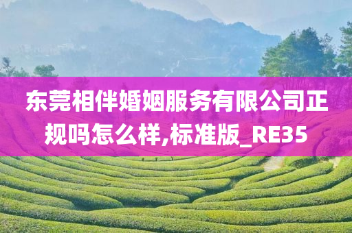 东莞相伴婚姻服务有限公司正规吗怎么样,标准版_RE35