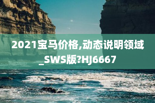 2021宝马价格,动态说明领域_SWS版?HJ6667