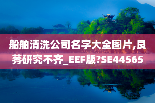 船舶清洗公司名字大全图片,良莠研究不齐_EEF版?SE44565