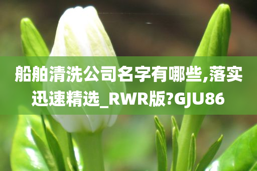 船舶清洗公司名字有哪些,落实迅速精选_RWR版?GJU86