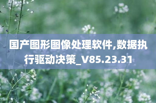 国产图形图像处理软件,数据执行驱动决策_V85.23.31